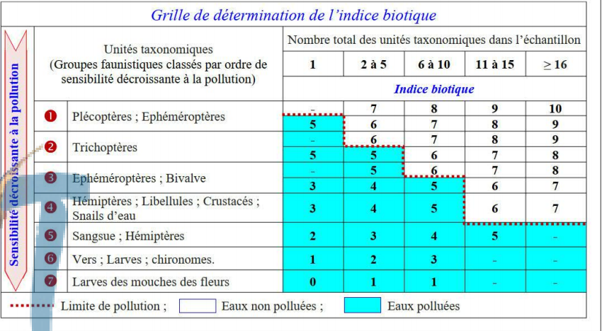 Grille de détermination de l'indice biotique